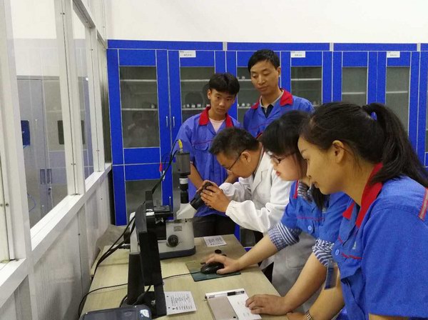 67381피�-�Α�ٷ��W(w��ng)վ