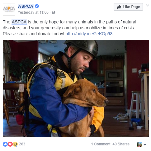 ASPCA post